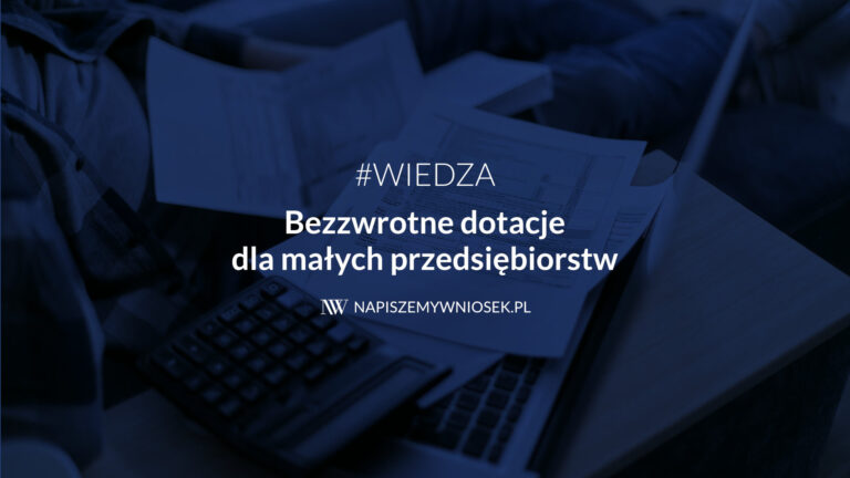 Bezzwrotne dotacje dla mikro i małych przedsiębiorstw 2025 – co warto wiedzieć?
