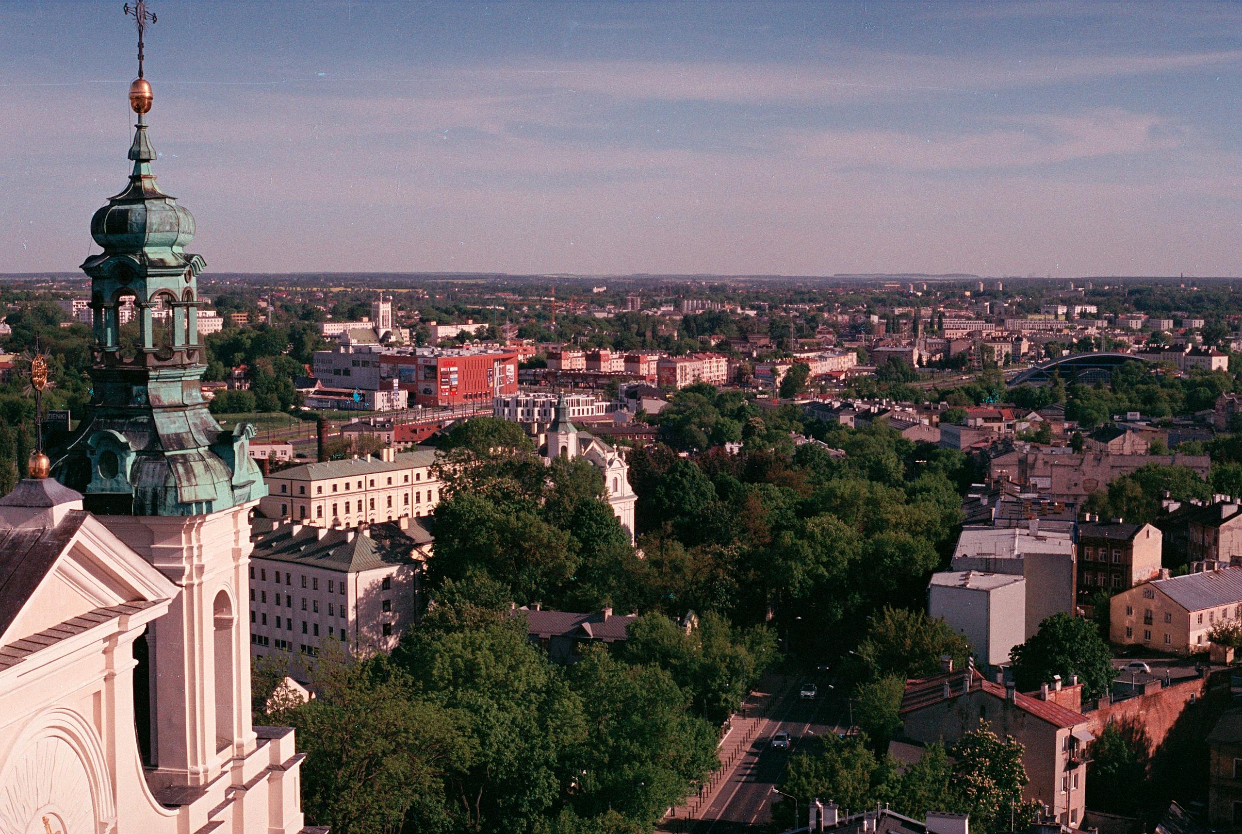 Aerial View of Green Trees Near City Buildings