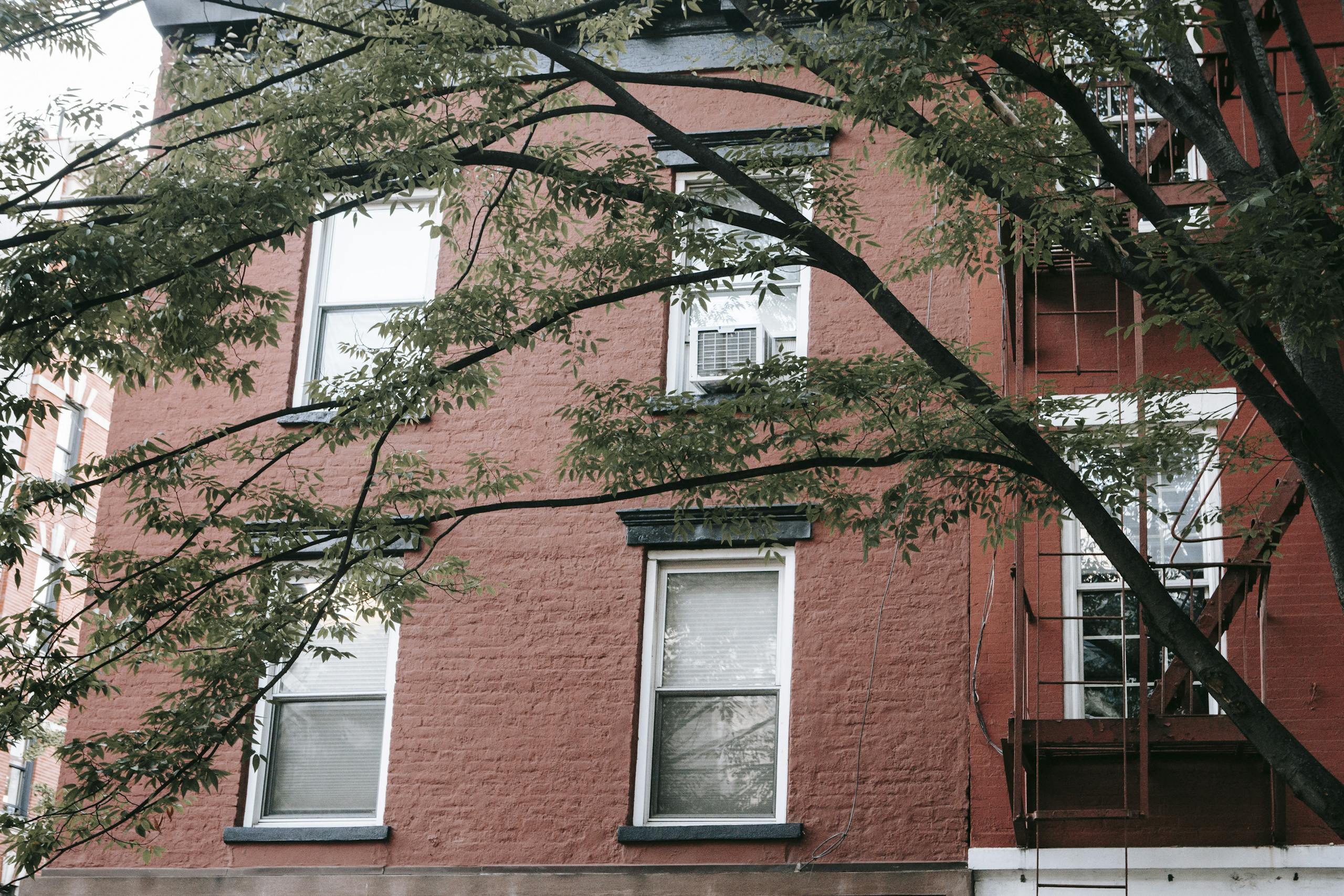 Facade of brick building with small windows near tree in town in daytime